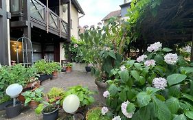 Apartment Gerberbachviertel
